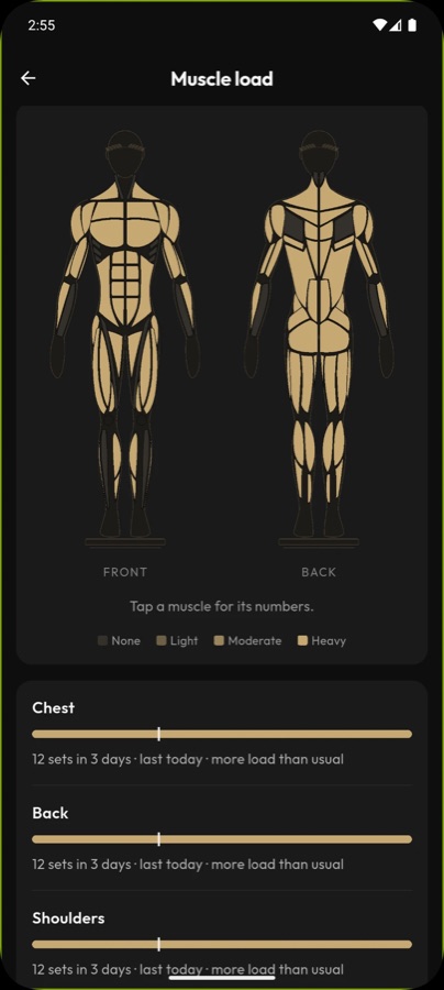 Muscle load map with per-muscle bars